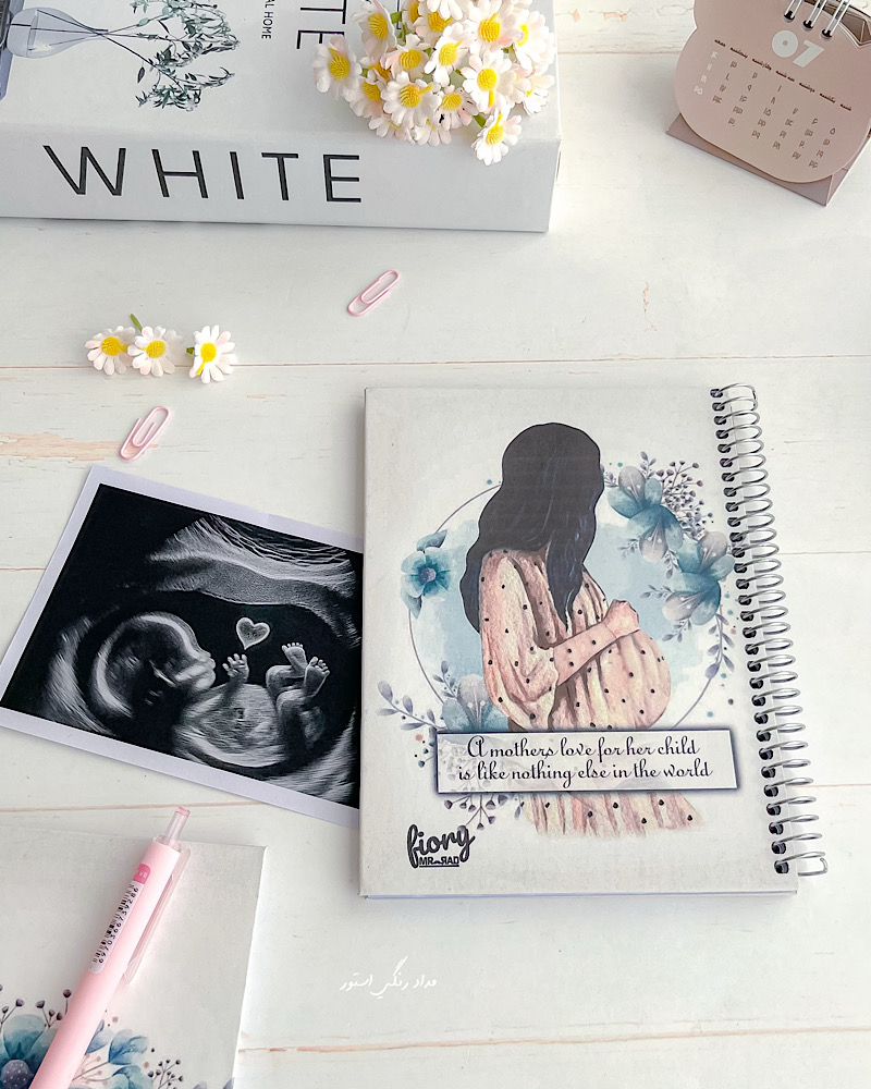 پلنر بارداری